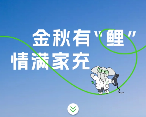 金秋有“鯉”，情滿家充