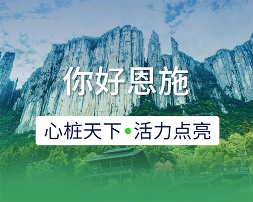 新城開埠 | 心樁天下，“電”亮恩施